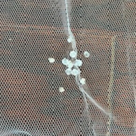 NWT Ivory Cathedral Veil w/ rhinestones main image 4